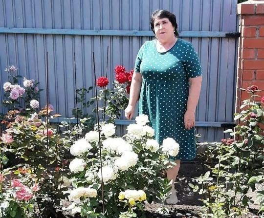 «Ежедневный, кропотливый труд – вот залог красивой, ухоженной усадьбы»