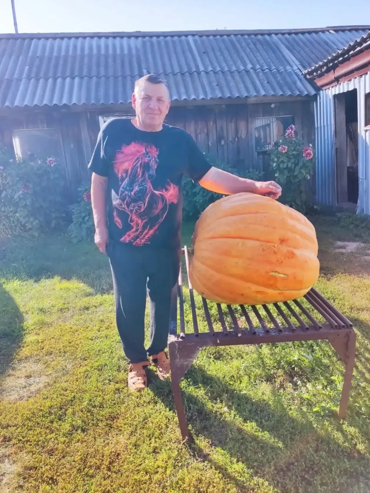 Тыква-рекордсменка