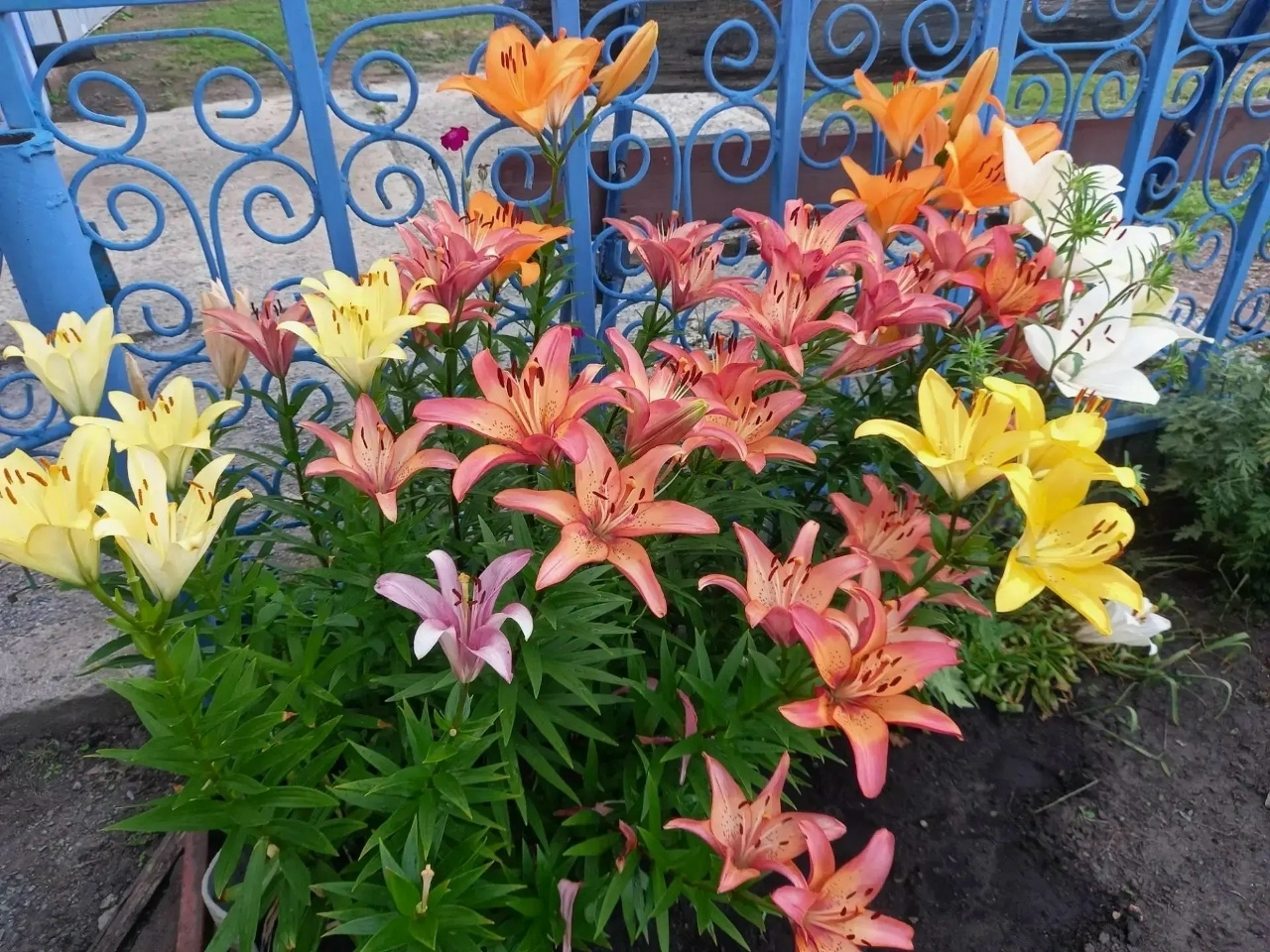Рукотворная красота Ирины Петровны Мехонцевой 