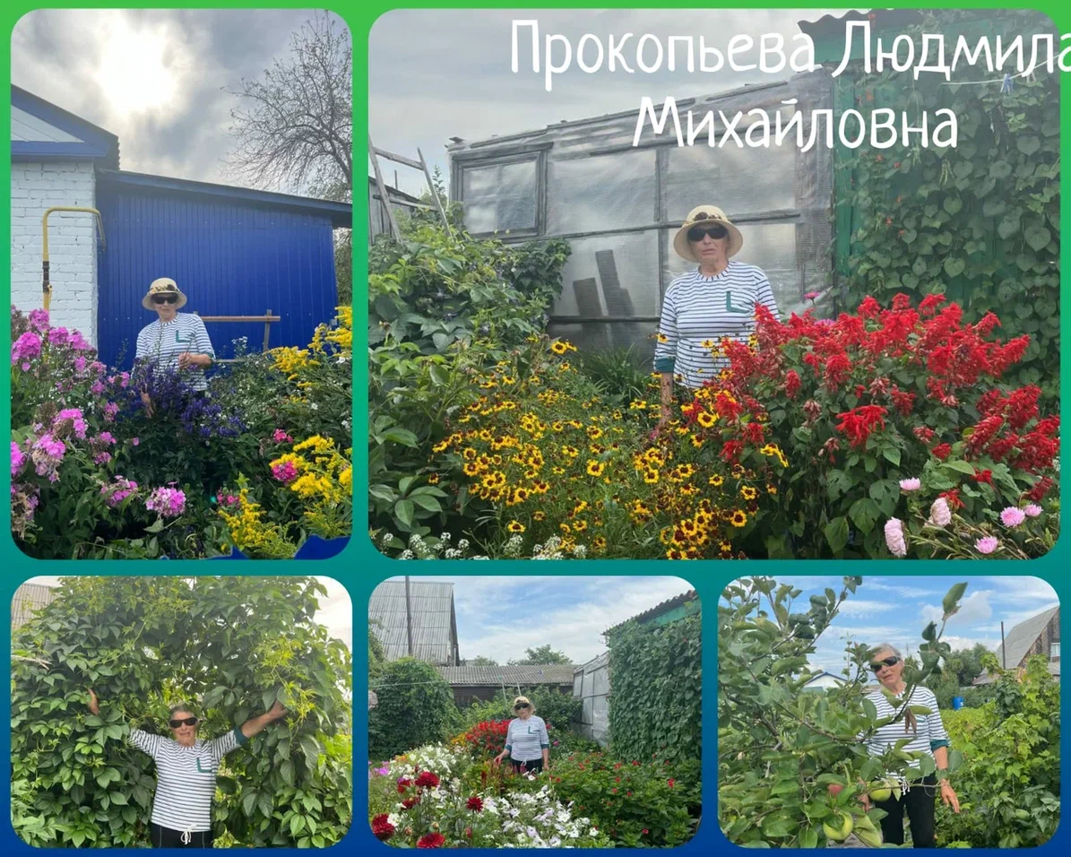 Красота наших подворий – в наших руках!