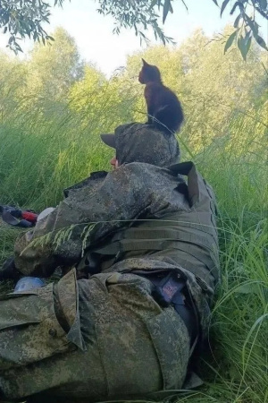 Весточка от "Зевса"