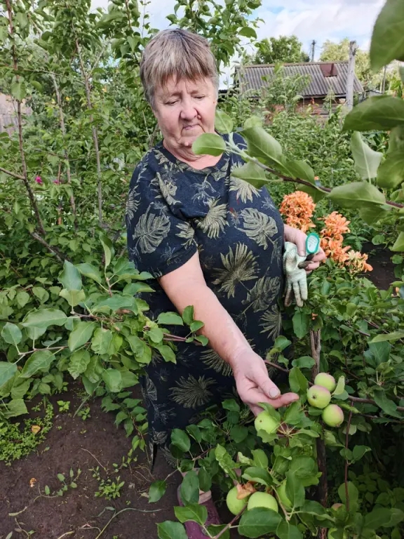 В каждом доме должны быть уют, радость и цветы!
