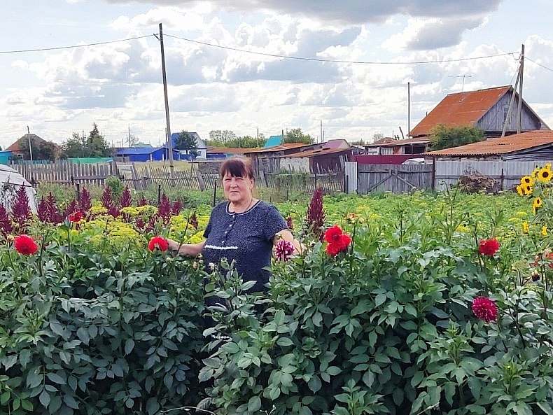 Во саду ли, в огороде...