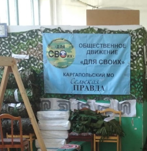 Цена волонтёрского «Не успели»