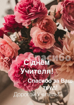 СПАСИБО ВАМ, УЧИТЕЛЯ! 