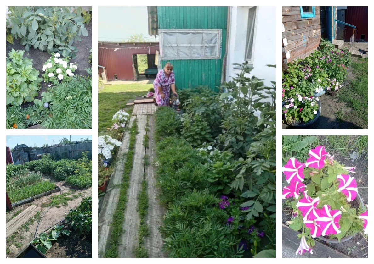 Цветочное царство - огородное государство Т.Н. Каршиной