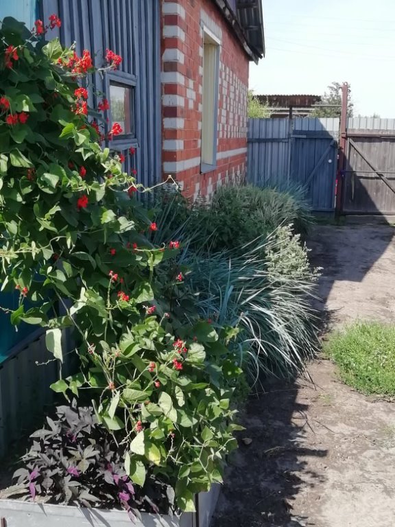 Чистое село Зауралья - Требушинное!