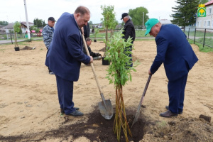 В Шатрово приступили к созданию парка "Аллея героев"
