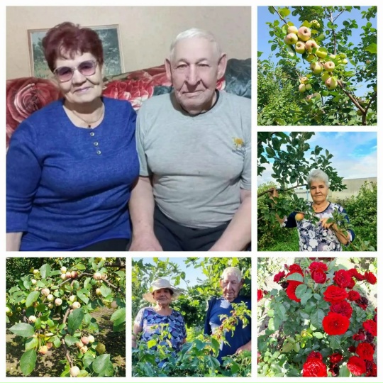 Уголок уюта и изобилия супругов Теляковых