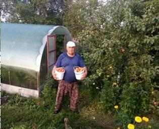 Образцовый участок Борисова В.А.