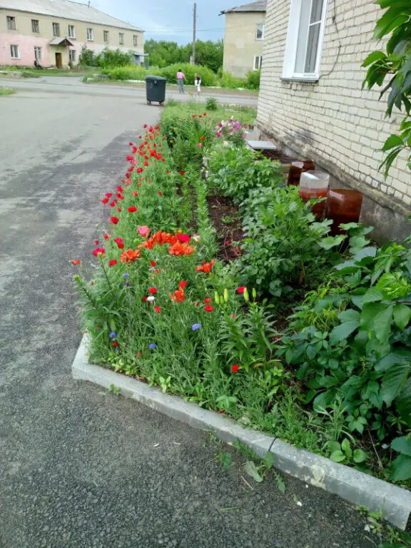 Цветочная красота села Целинного